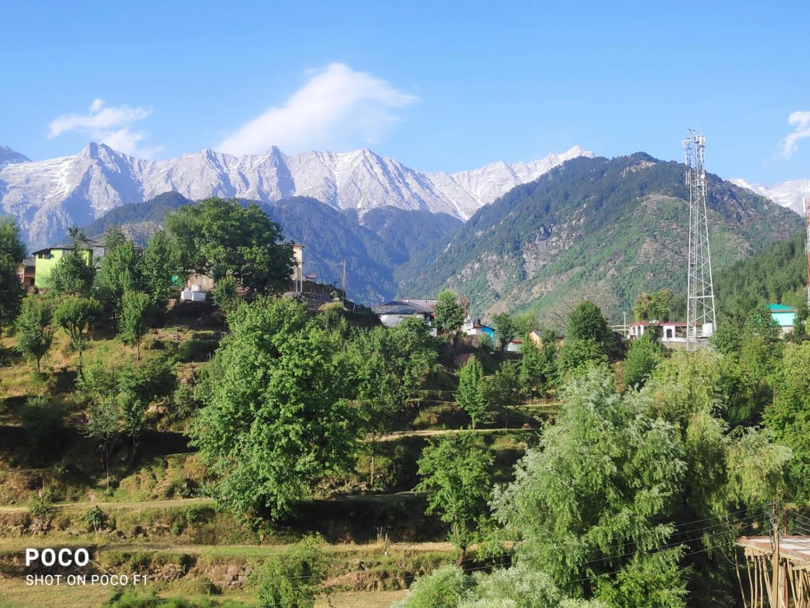 Nirmal Homestay Dharamshala Dış mekan fotoğraf