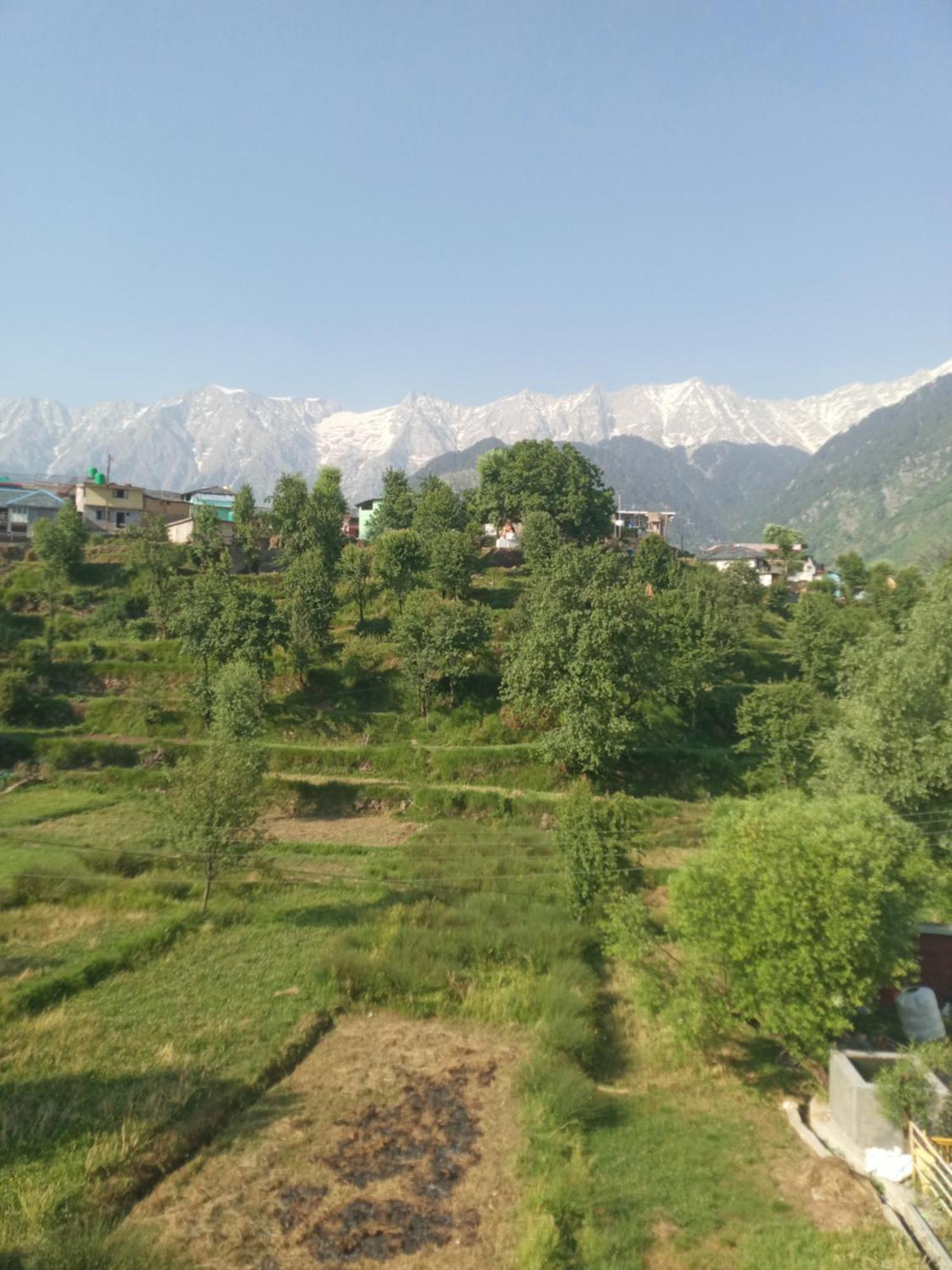 Nirmal Homestay Dharamshala Oda fotoğraf