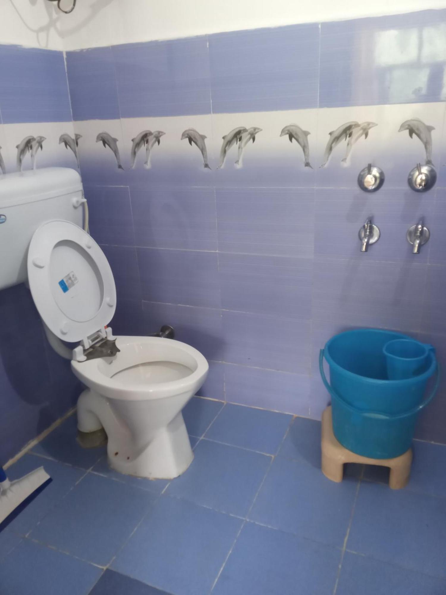 Nirmal Homestay Dharamshala Dış mekan fotoğraf