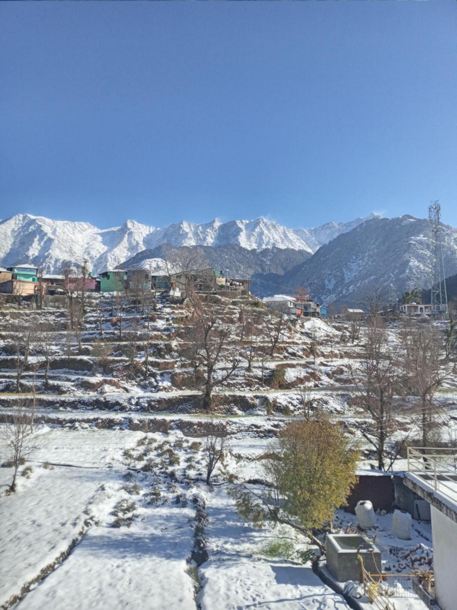 Nirmal Homestay Dharamshala Dış mekan fotoğraf