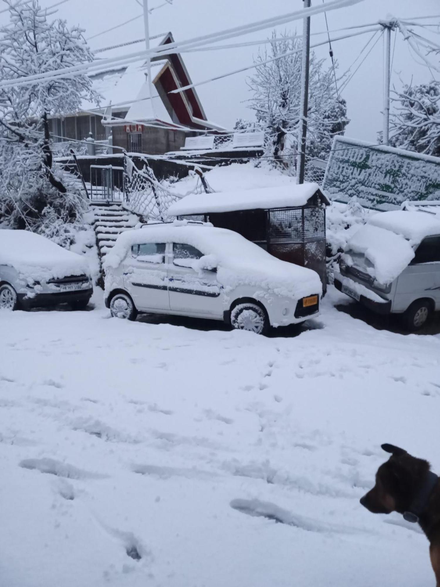 Nirmal Homestay Dharamshala Dış mekan fotoğraf