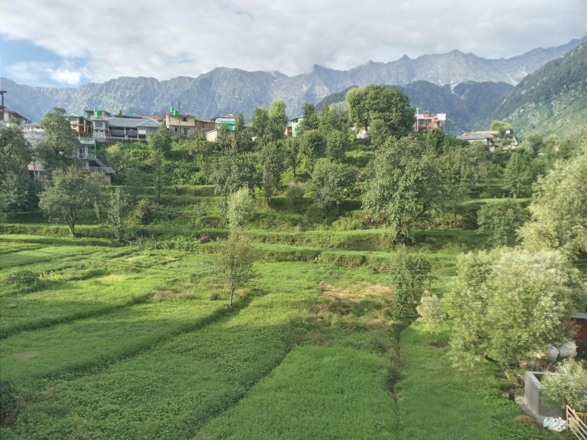 Nirmal Homestay Dharamshala Dış mekan fotoğraf